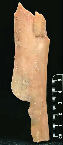 打捞沉睡的文明记忆——2024年中国考古新发现亮点扫描 打捞沉睡的文明记忆——2024年中国考古新发现亮点扫描